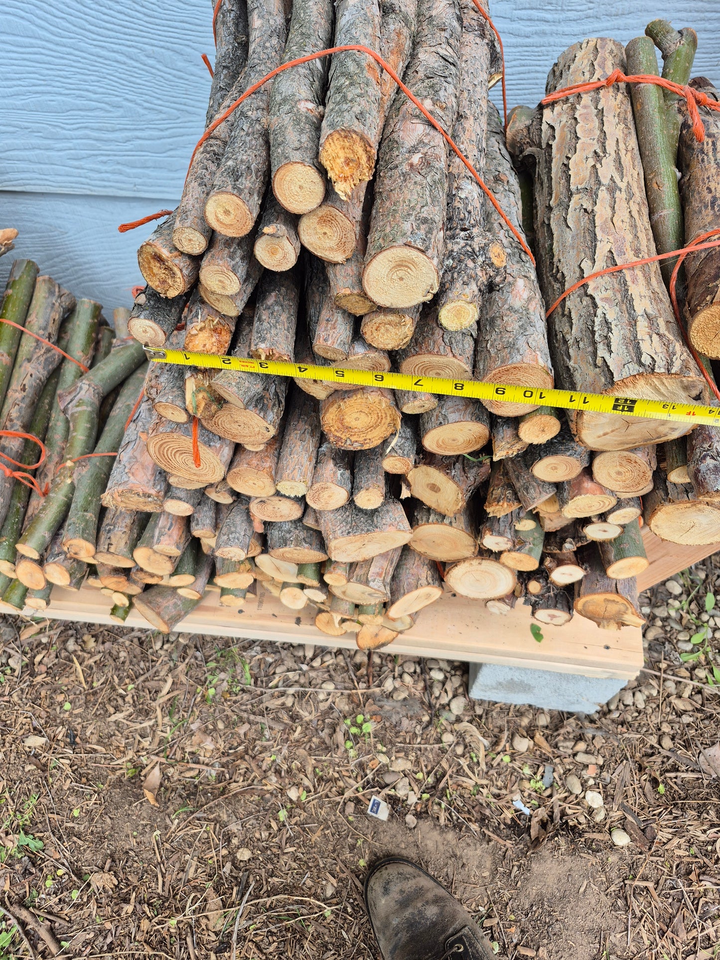 Camp Firewood by Bundle