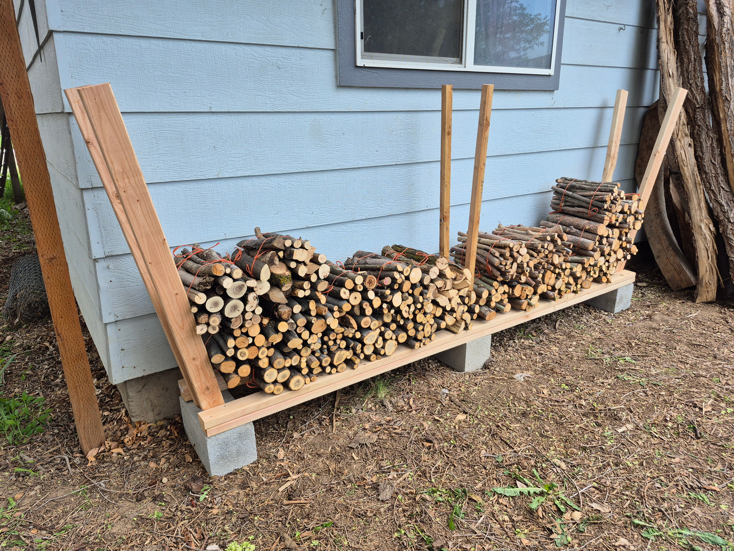 Camp Firewood by Bundle